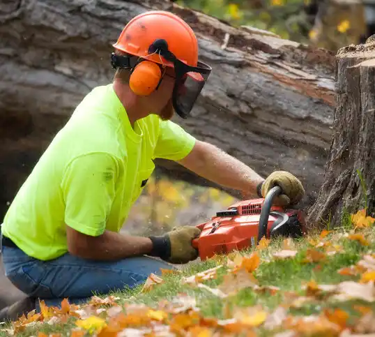 tree services Mountain Home